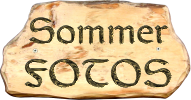 Sommer