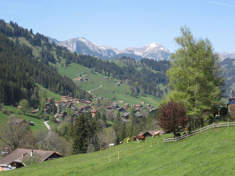 Zicht op Zweisimmen vanuit de tuin