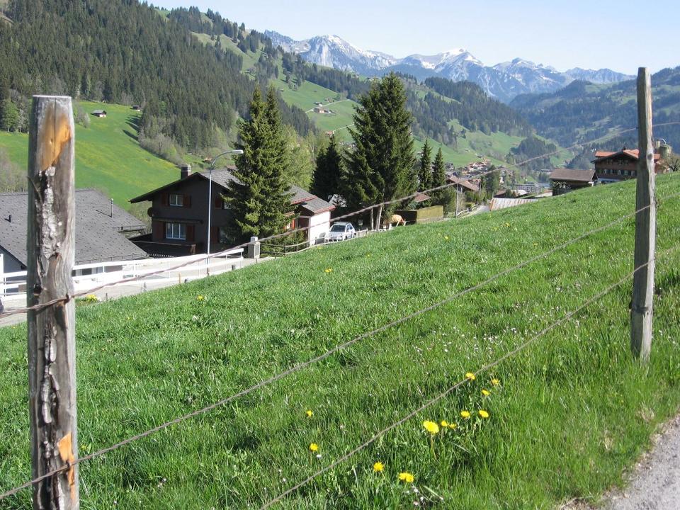 Zicht op het chalet vanaf de Rinderbergstrasse